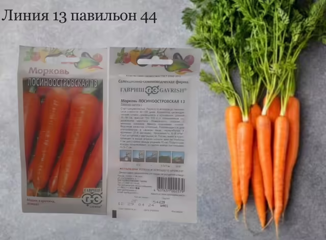 Семена моркови