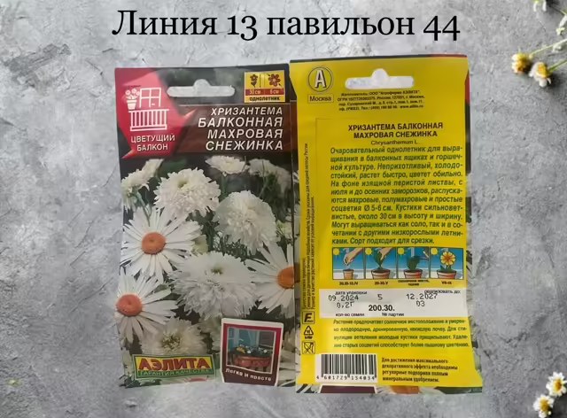 Семена хризантемы