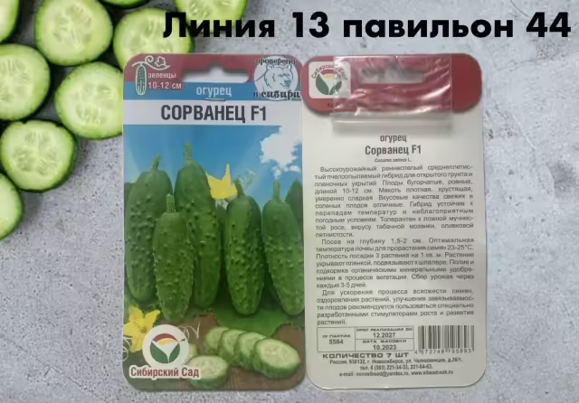 Семена огурцов