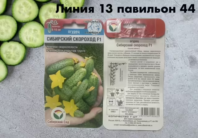 Семена огурцов