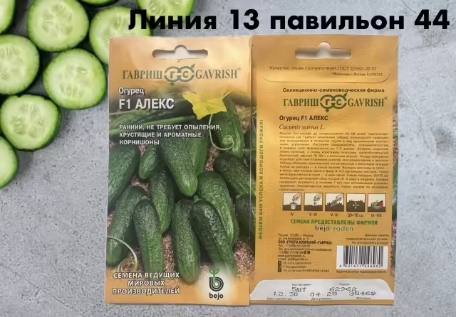 Семена огурцов
