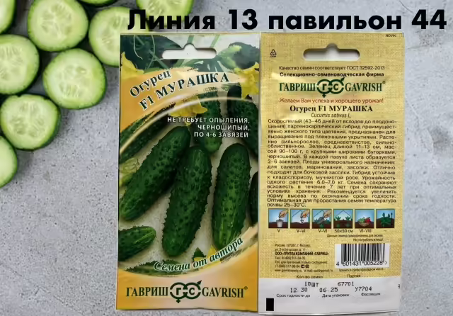 Семена огурцов