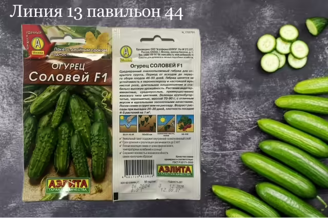 Семена огурцов