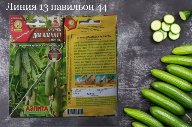 Семена огурцов