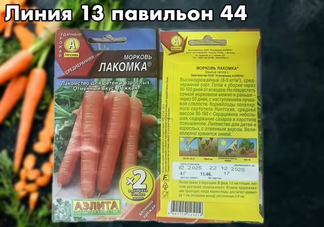 Семена моркови