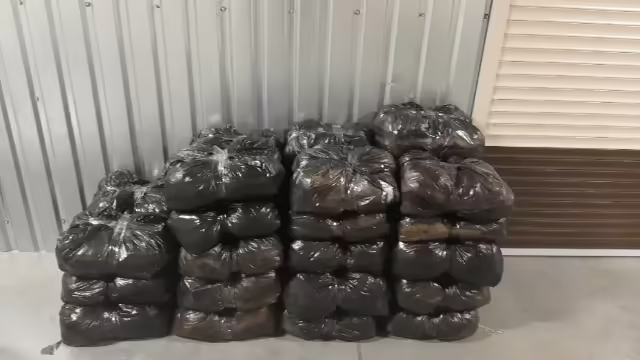 Хлопковые женские платья