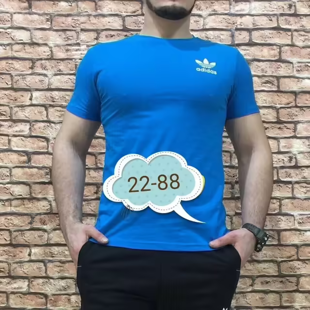 Мужские футболки