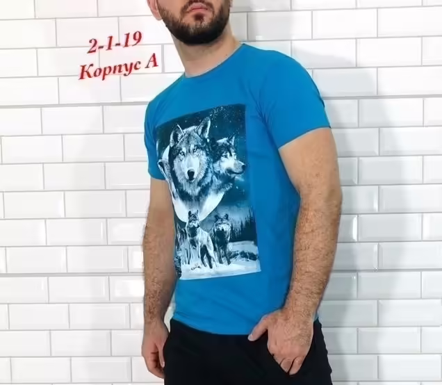 Мужские футболки