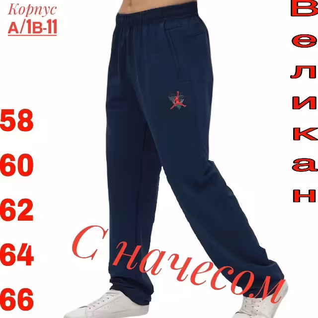 Мужские штаны с начёсом