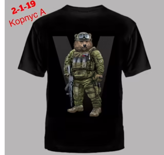 Мужские футболки
