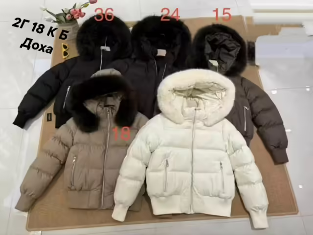 Женские куртки