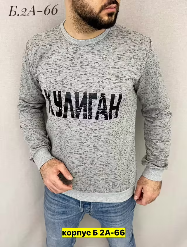 Мужские свитшоты