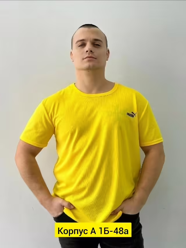 Хлопковые мужские футболки
