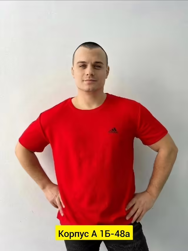 Хлопковые мужские футболки