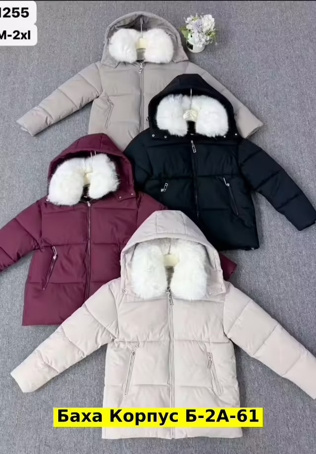 Женские куртки