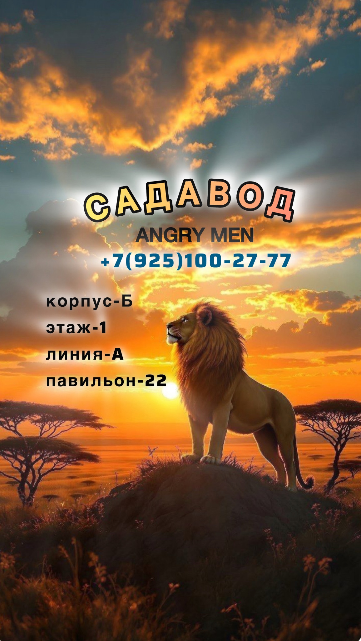 фото группы постащивщика Кроссовки мужские женские штучно садавод